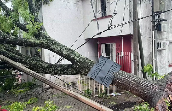 Voladuras de techos árboles caídos e inundación los estragos del